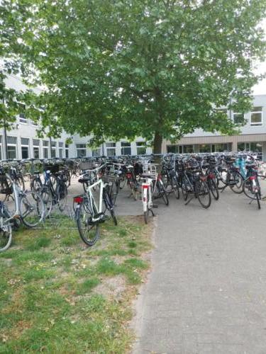 dużo rowerów przed uczelnią
